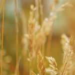 เอกการประกอบการบรรยาย กรอบแนวทางดำเนินงานการปฎิบัติการข่าวสาร